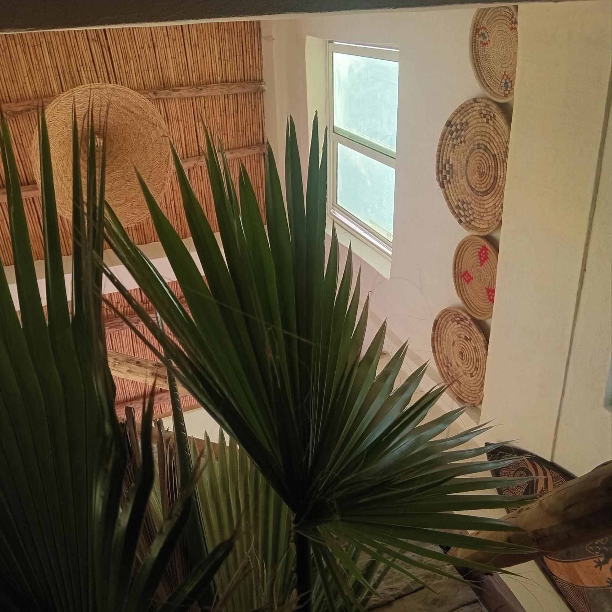Moroccan Boho Surf House Agadir Ngoại thất bức ảnh